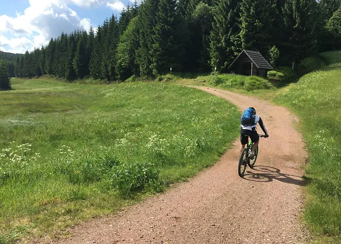 Zur Bergwiese 5 Sterne Appartementhaus