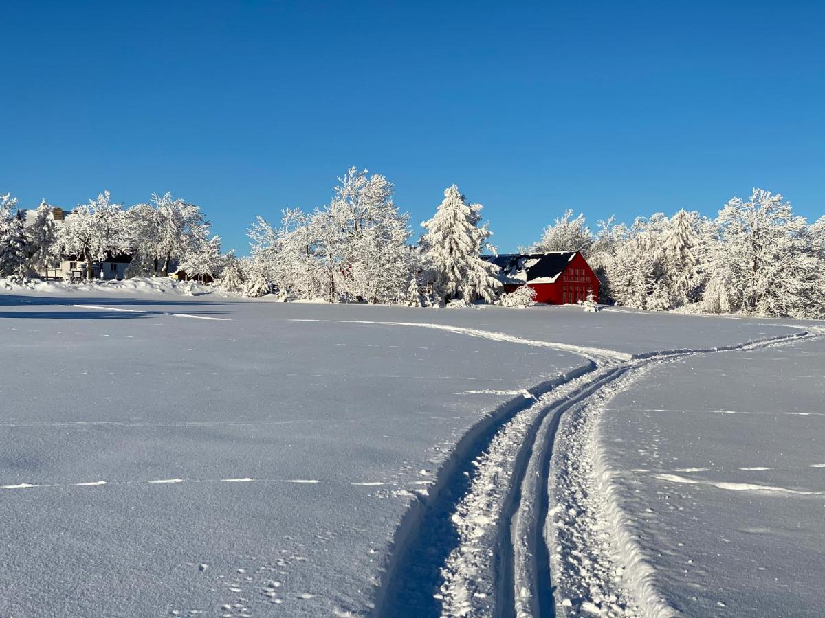 Casa vacanze Zur Bergwiese 5 Sterne Appartementhaus