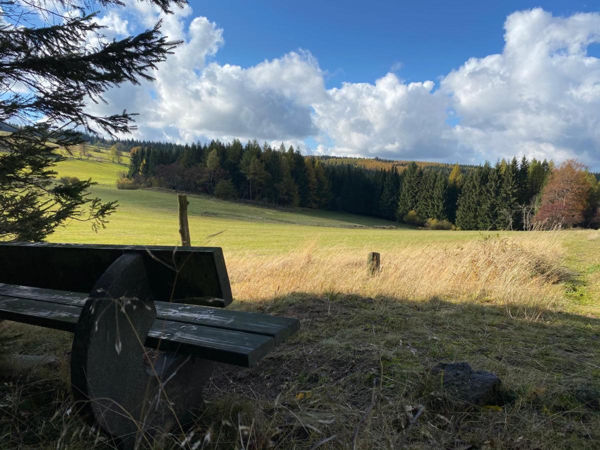Hébergement de vacances Zur Bergwiese 5 Sterne Appartementhaus Furstenau (Saxony)