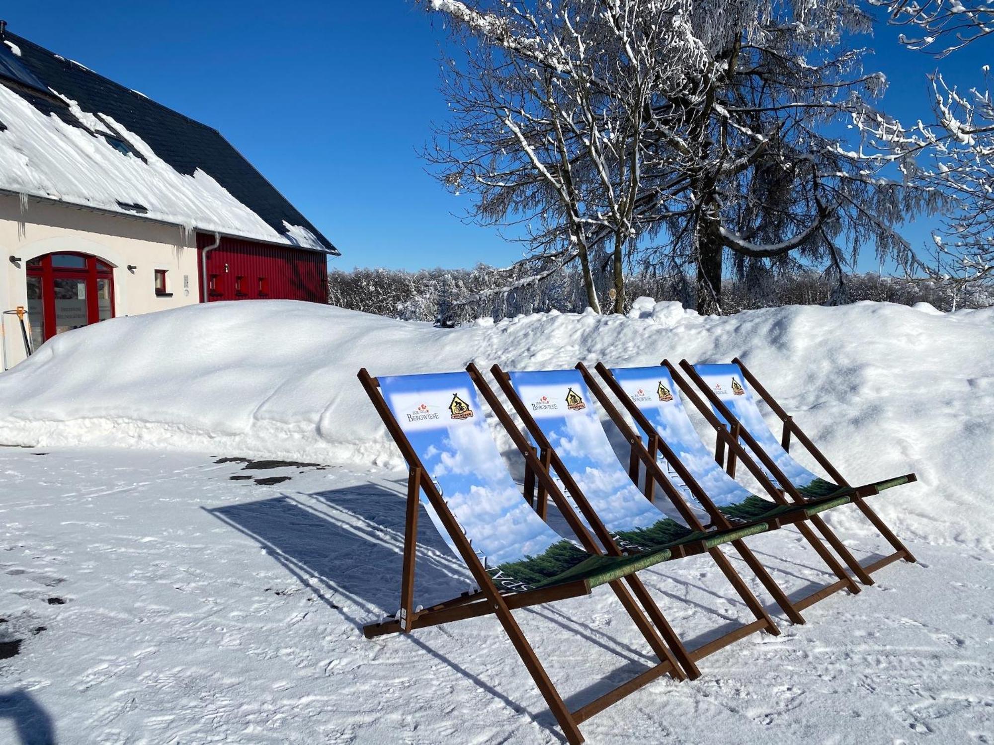 Holiday home Zur Bergwiese 5 Sterne Appartementhaus