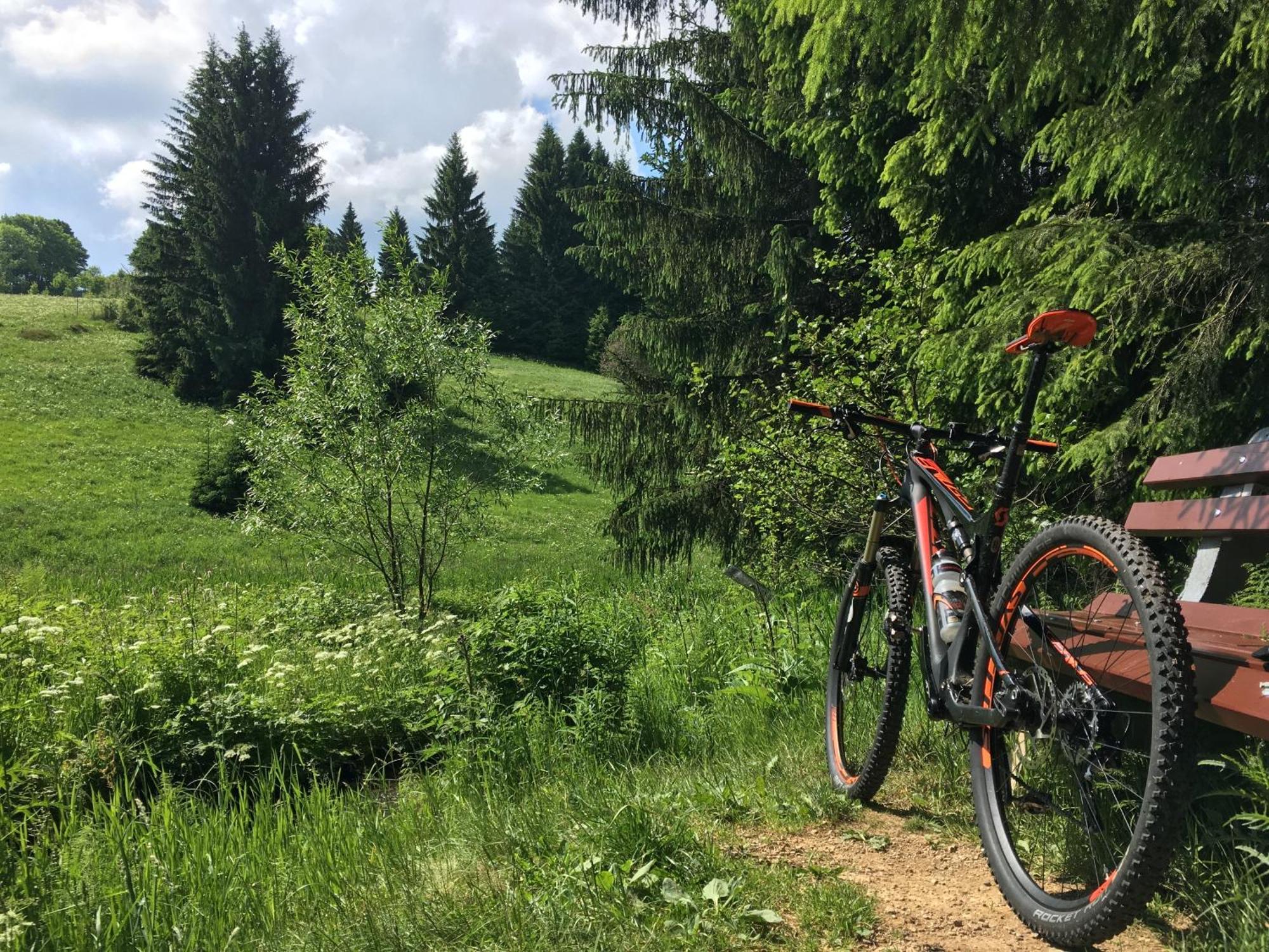 Zur Bergwiese 5 Sterne Appartementhaus Casa vacanze Furstenau (Saxony)