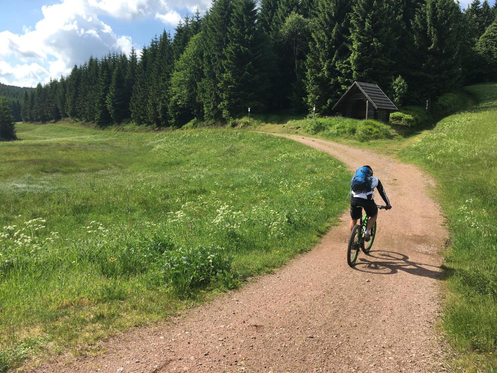 Hébergement de vacances Zur Bergwiese 5 Sterne Appartementhaus Furstenau (Saxony)